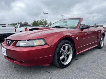 2004 Ford Mustang GT (Stk: 23275A) in Cornwall - Image 1 of 21