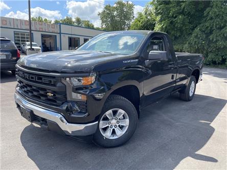 2023 Chevrolet Silverado 1500 Work Truck (Stk: PG349196) in Paisley - Image 1 of 20