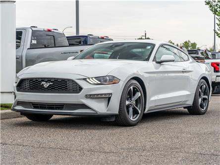 2023 Ford Mustang EcoBoost (Stk: P-259) in Calgary - Image 1 of 14