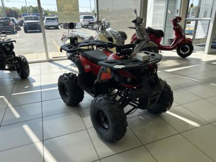 2021 Hyundai SMX ATV (Stk: F01) in Perth - Image 1 of 8