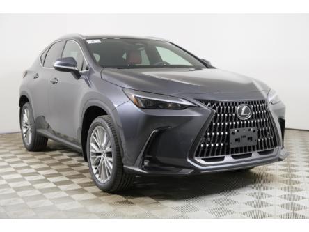 2024 Lexus NX 350 Base (Stk: 15102716) in Richmond Hill - Image 1 of 28