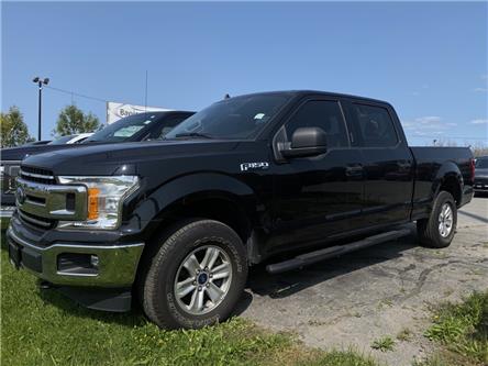 2020 Ford F-150  (Stk: 40234J) in Belleville - Image 1 of 4