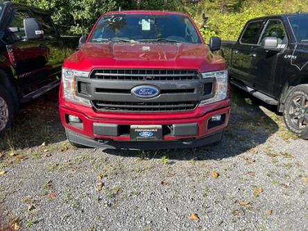 2019 Ford F-150 XLT (Stk: 21192A) in La Malbaie - Image 1 of 11