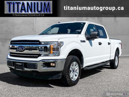 2019 Ford F-150 XLT (Stk: B51536) in Langley BC - Image 1 of 25