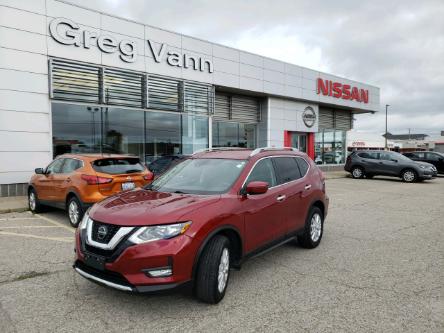 2019 Nissan Rogue SV (Stk: P3113) in Cambridge - Image 1 of 20