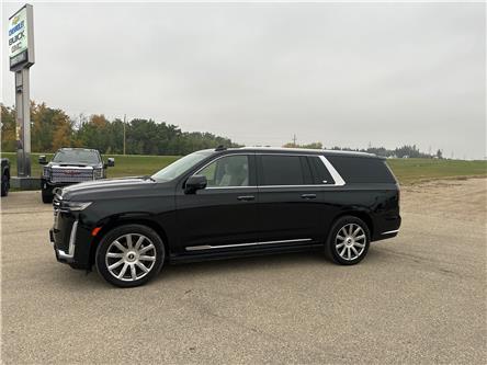 2021 Cadillac Escalade ESV Premium Luxury Platinum (Stk: 13219) in Roblin - Image 1 of 9
