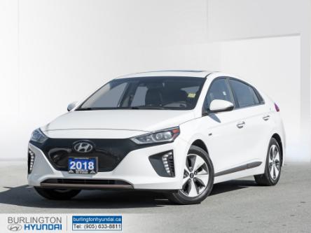 2018 Hyundai Ioniq EV Limited (Stk: N4064A) in Burlington - Image 1 of 26