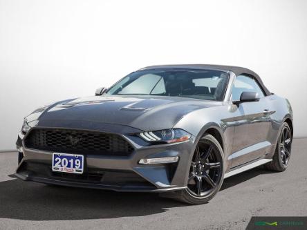 2019 Ford Mustang EcoBoost Premium (Stk: 7534B) in St. Thomas - Image 1 of 27