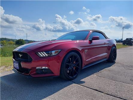 2017 Ford Mustang GT Premium (Stk: UC21209) in Haliburton - Image 1 of 23