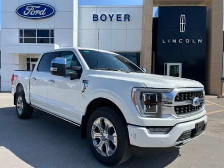 2023 Ford F-150 Platinum (Stk: F3650) in Bobcaygeon - Image 1 of 30