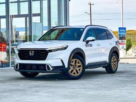 2024 Honda CR-V Sport (Stk: SP0054) in Calgary - Image 1 of 26