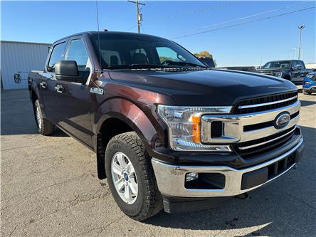 2018 Ford F-150 XLT (Stk: B0053) in Wilkie - Image 1 of 21