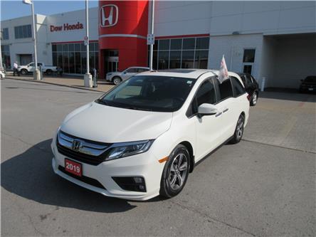 2019 Honda Odyssey EX (Stk: 31414A) in Ottawa - Image 1 of 30