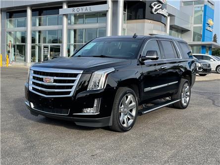 2019 Cadillac Escalade Premium Luxury (Stk: 10500A) in Orangeville - Image 1 of 35