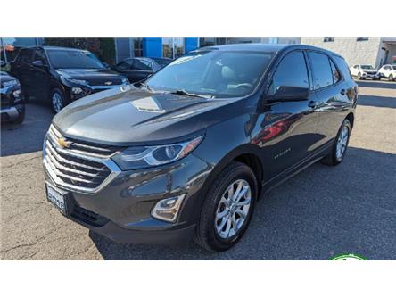 2018 Chevrolet Equinox LS (Stk: 230756AA) in Midland - Image 1 of 16