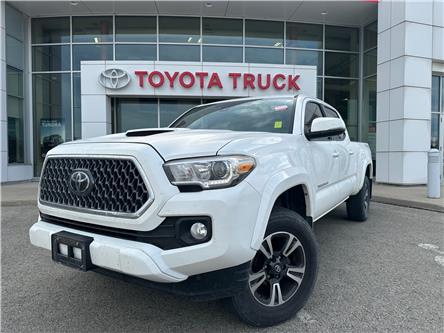 2019 Toyota Tacoma SR5 V6 (Stk: P8554A) in Welland - Image 1 of 27