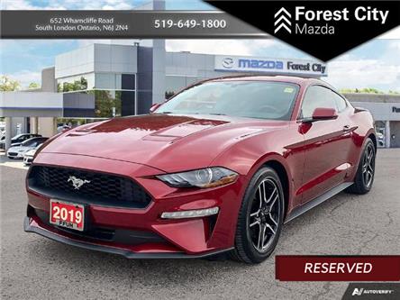 2019 Ford Mustang EcoBoost (Stk: 23C57919A) in London - Image 1 of 27