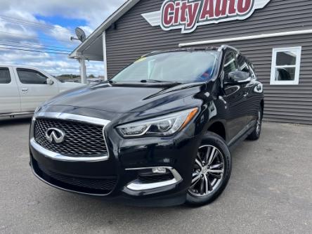 2019 Infiniti QX60 Pure in Sussex - Image 1 of 21