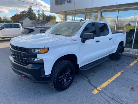 2022 Chevrolet Silverado 1500 LTD Custom Trail Boss (Stk: F021A) in Green Valley - Image 1 of 13