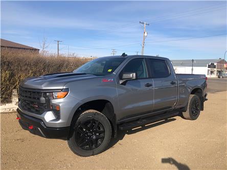 2024 Chevrolet Silverado 1500 Custom Trail Boss (Stk: 3652) in Unity - Image 1 of 18
