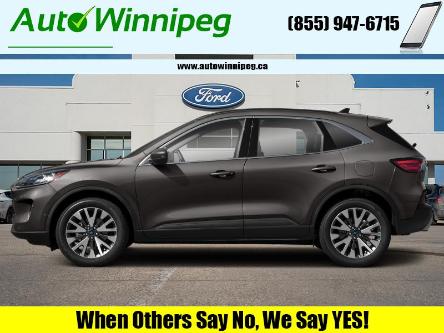 2020 Ford Escape Titanium Hybrid (Stk: 23323A) in Winnipeg - Image 1 of 11