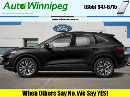 2020 Ford Escape Titanium Hybrid (Stk: S2399) in Winnipeg - Image 1 of 21