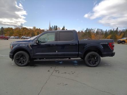 2023 Ford F-150 Platinum (Stk: F681) in Miramichi - Image 1 of 13