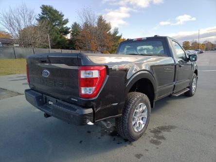 2023 Ford F-150 XL (Stk: F683) in Miramichi - Image 1 of 12