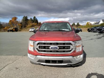 2023 Ford F-150 XLT (Stk: F687) in Miramichi - Image 1 of 13