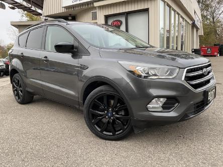 2017 Ford Escape SE (Stk: 3801) in KITCHENER - Image 1 of 27