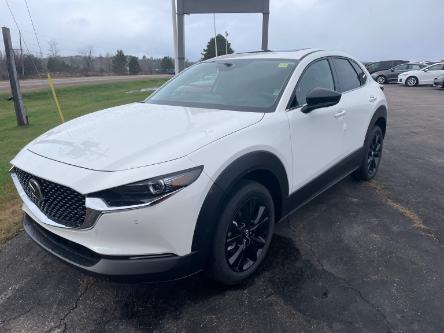 2024 Mazda CX-30 GT w/Turbo (Stk: 224-19) in Pembroke - Image 1 of 7