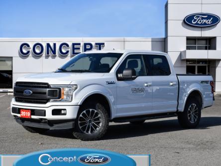 2019 Ford F-150 XLT (Stk: F30928A) in GEORGETOWN - Image 1 of 24