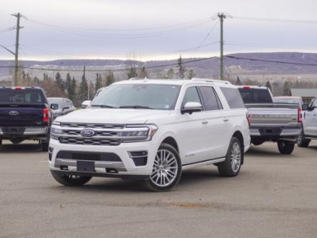 2022 Ford Expedition Max Platinum (Stk: FS236438A) in Dawson Creek - Image 1 of 20