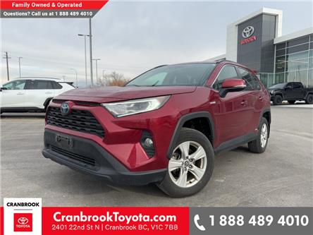2019 Toyota RAV4 Hybrid XLE (Stk: D161845A) in Cranbrook - Image 1 of 9
