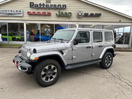 2019 Jeep Wrangler Unlimited Sahara (Stk: 7300A) in Fort Erie - Image 1 of 20