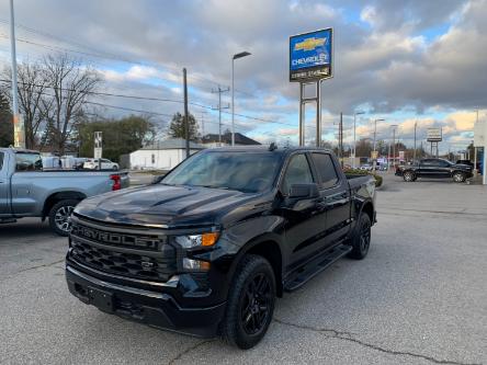 2024 Chevrolet Silverado 1500 Custom (Stk: TR187721) in Caledonia - Image 1 of 58