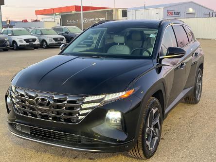 2024 Hyundai Tucson Hybrid Luxury (Stk: 24-033) in Prince Albert - Image 1 of 13