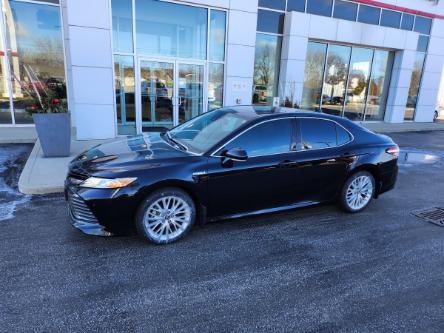 2019 Toyota Camry Hybrid XLE (Stk: 1508A) in Sarnia - Image 1 of 7