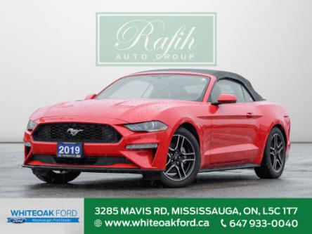 2019 Ford Mustang EcoBoost (Stk: E0015) in Mississauga - Image 1 of 21
