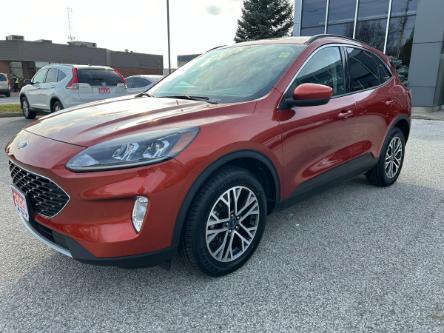 2020 Ford Escape SEL (Stk: M5338) in Sarnia - Image 1 of 12