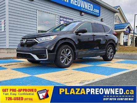 2022 Honda CR-V EX-L (Stk: 44281A) in Mount Pearl - Image 1 of 17