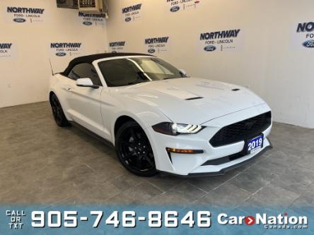 2019 Ford Mustang ECOBOOST PREMIUM|CONVERTIBLE |BLACK ACCENT|LEATHER (Stk: P9949A) in Brantford - Image 1 of 20
