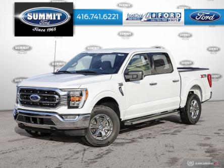 2023 Ford F-150 XLT (Stk: 23F1641) in Toronto - Image 1 of 25
