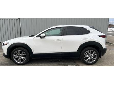 2020 Mazda CX-30 GS in Alma - Image 1 of 9