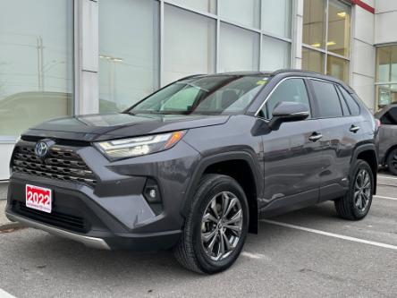 2022 Toyota RAV4 Hybrid Limited (Stk: W6216A) in Cobourg - Image 1 of 31