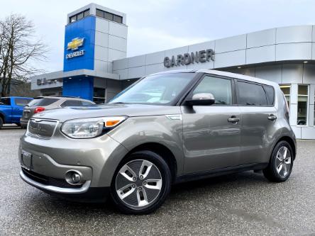 2019 Kia Soul EV EV Luxury (Stk: 3T283A) in Hope - Image 1 of 15