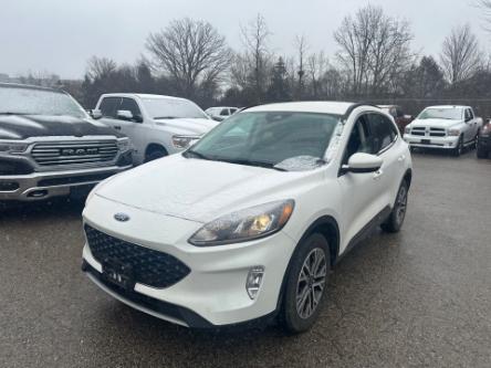 2021 Ford Escape SEL (Stk: INCOMING57) in Saskatoon - Image 1 of 4