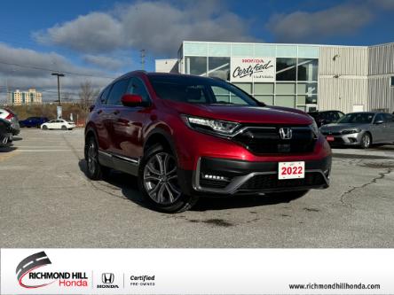 Hilly honda for 2025 sale