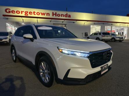 2024 Honda CR-V EX-L (Stk: R1043) in Georgetown - Image 1 of 4