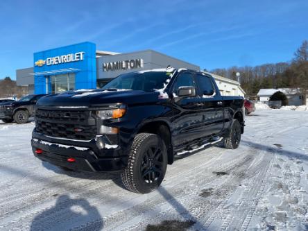 2024 Chevrolet Silverado 1500 Custom Trail Boss (Stk: 11908) in Wakefield - Image 1 of 22